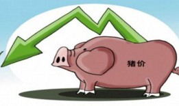 猪价最新爆料图片高清,高清爆料揭示市场新动态
